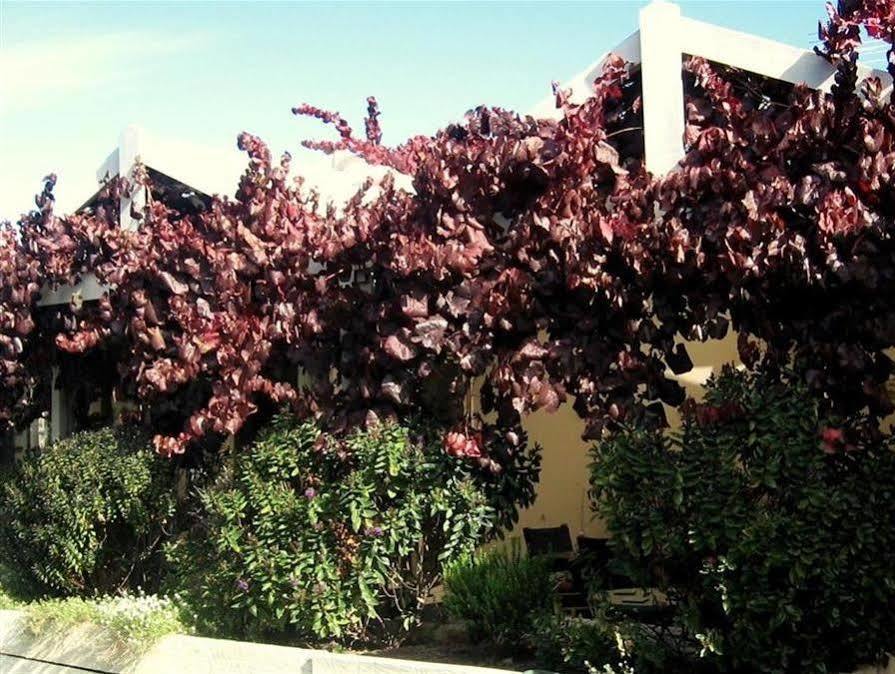 Bellevue Bed & Breakfast Mclaren Vale Exterior photo